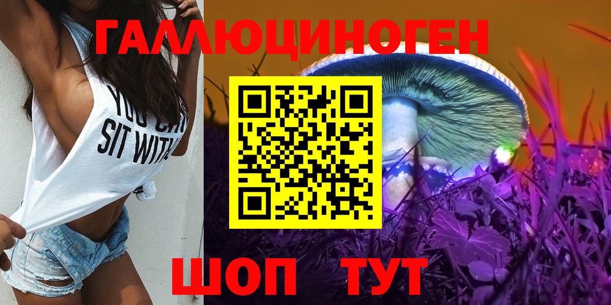 цены наркотик  Вход с VPN  Вичуга  Псилоцибиновые грибы GOLDEN TEACHER 